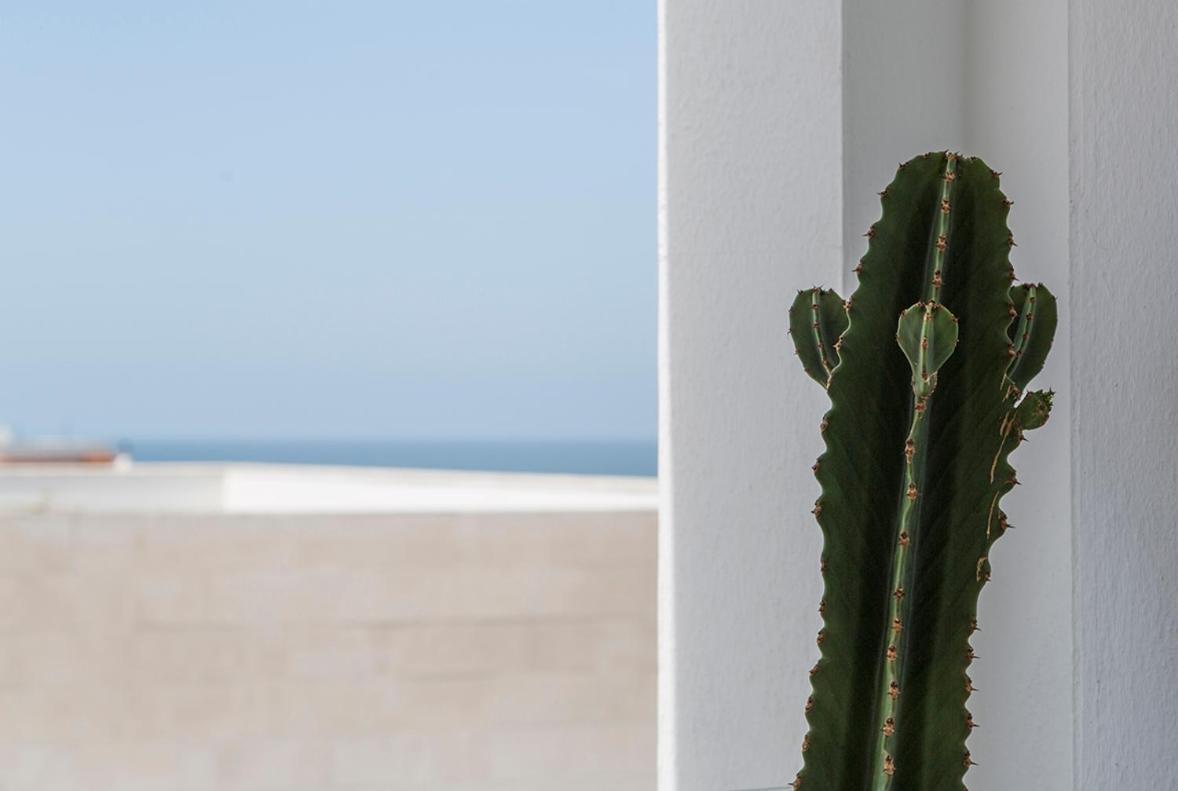Ferienwohnung Conil Luz De Mar Conil De La Frontera Exterior foto